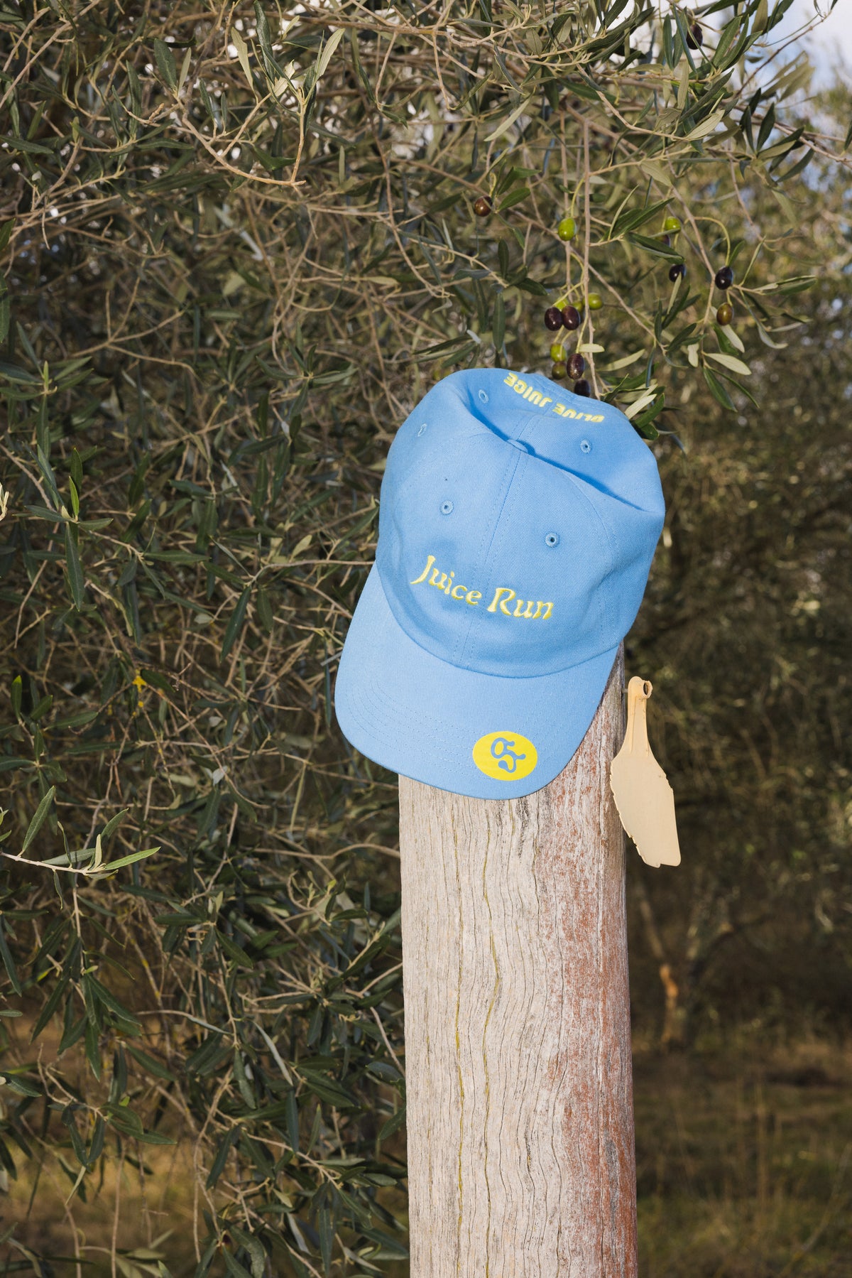 Juice Run Cap in Grove Blue